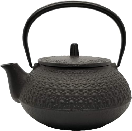 Nambu Iwachu Cast Iron Teapot Tetsubin 5-Type New Tortoiseshell 0.65L